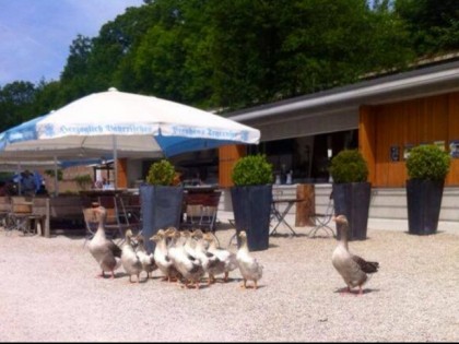 Photo: Biergarten Schutterhof